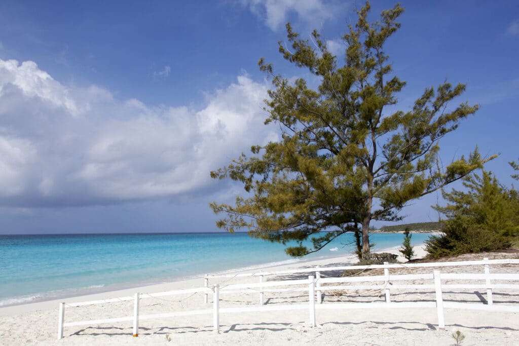 Tripps Plus Offers Tips for a Dream Vacation in the Bahamas